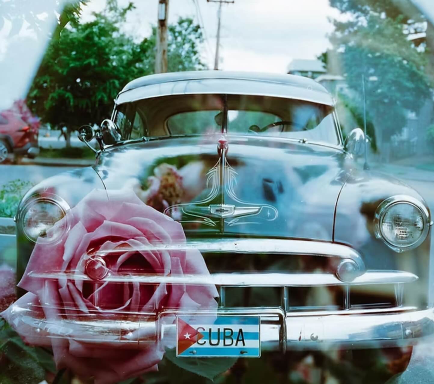 Multi-Exposed - logo