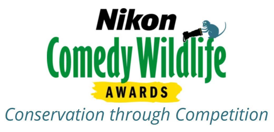 Nikon Comedy Wildlife Awards 2026 - logo