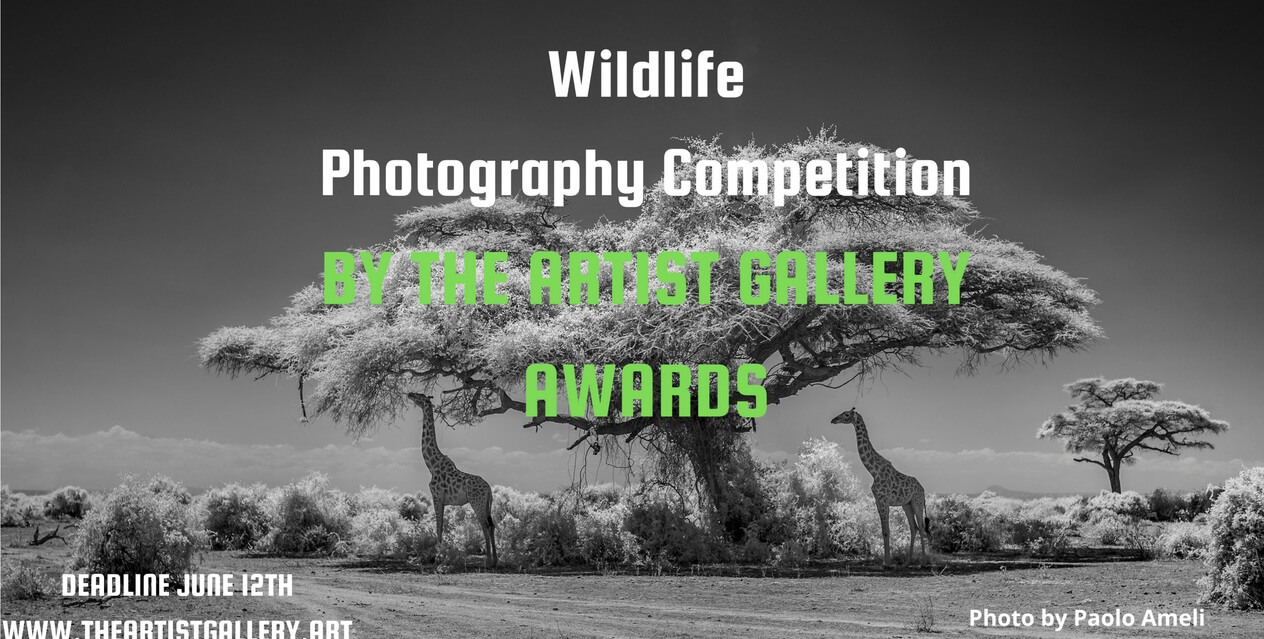 Wildlife Photography Contest 2026 by The Artist Gallery Awards - logo