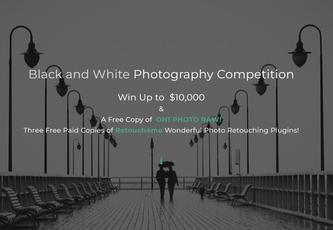 Black and White is the theme for this months competition. - logo