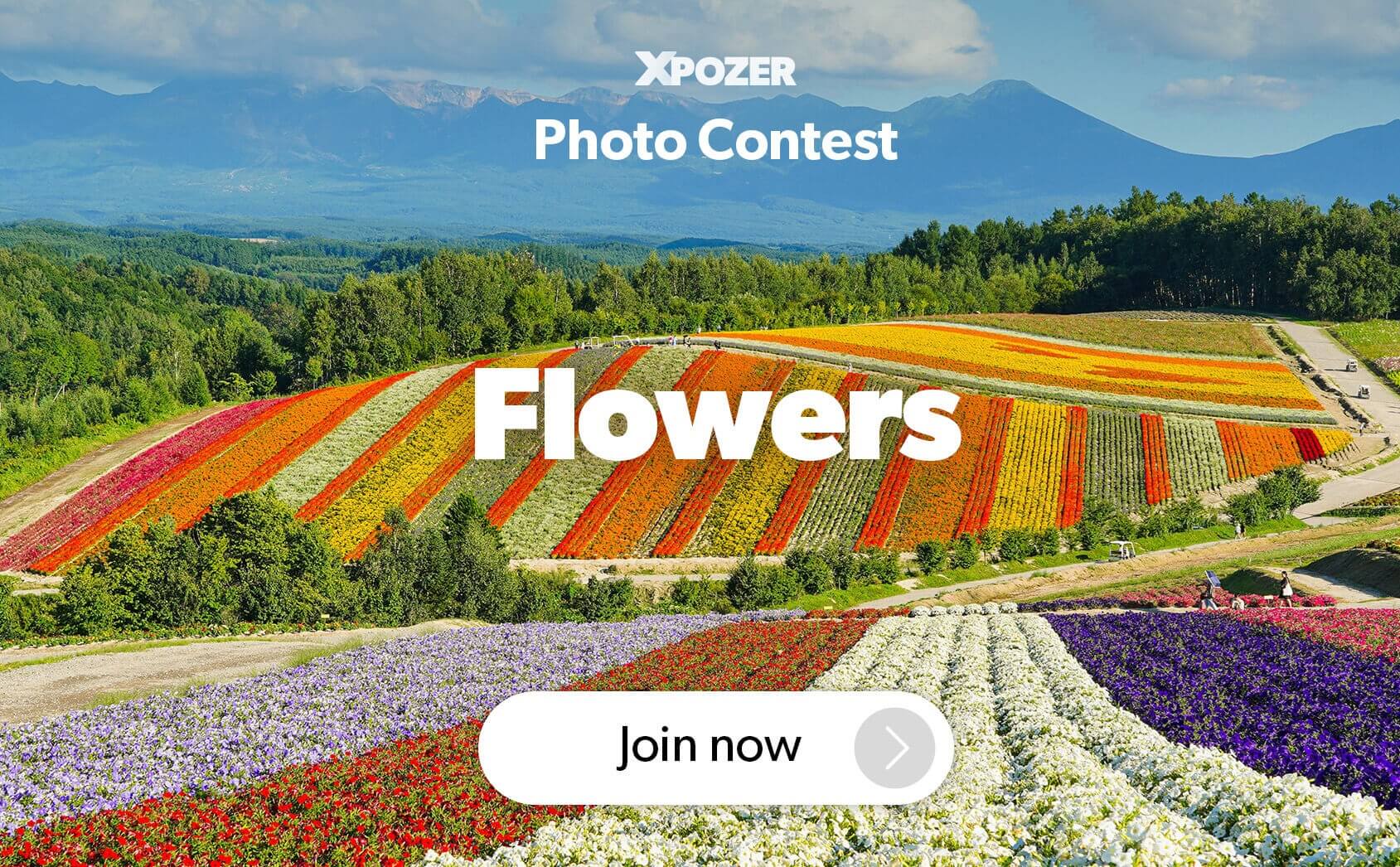 Xpozer Flowers Photo Contest - logo