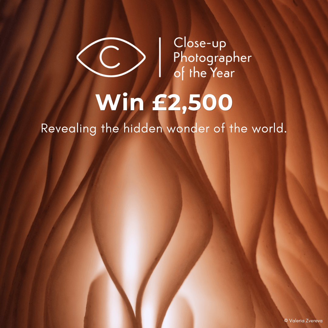 Close-up Photographer of the Year 2026 - logo