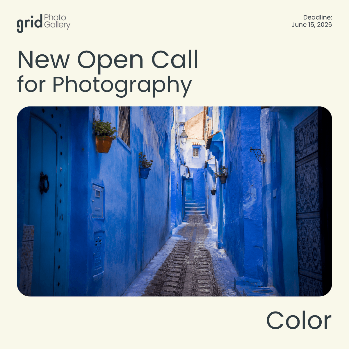Color 2026 Open Call – Grid Photo Gallery - logo