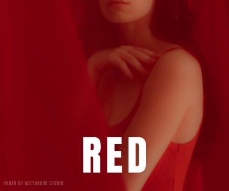 RED Photography Exhibit - logo