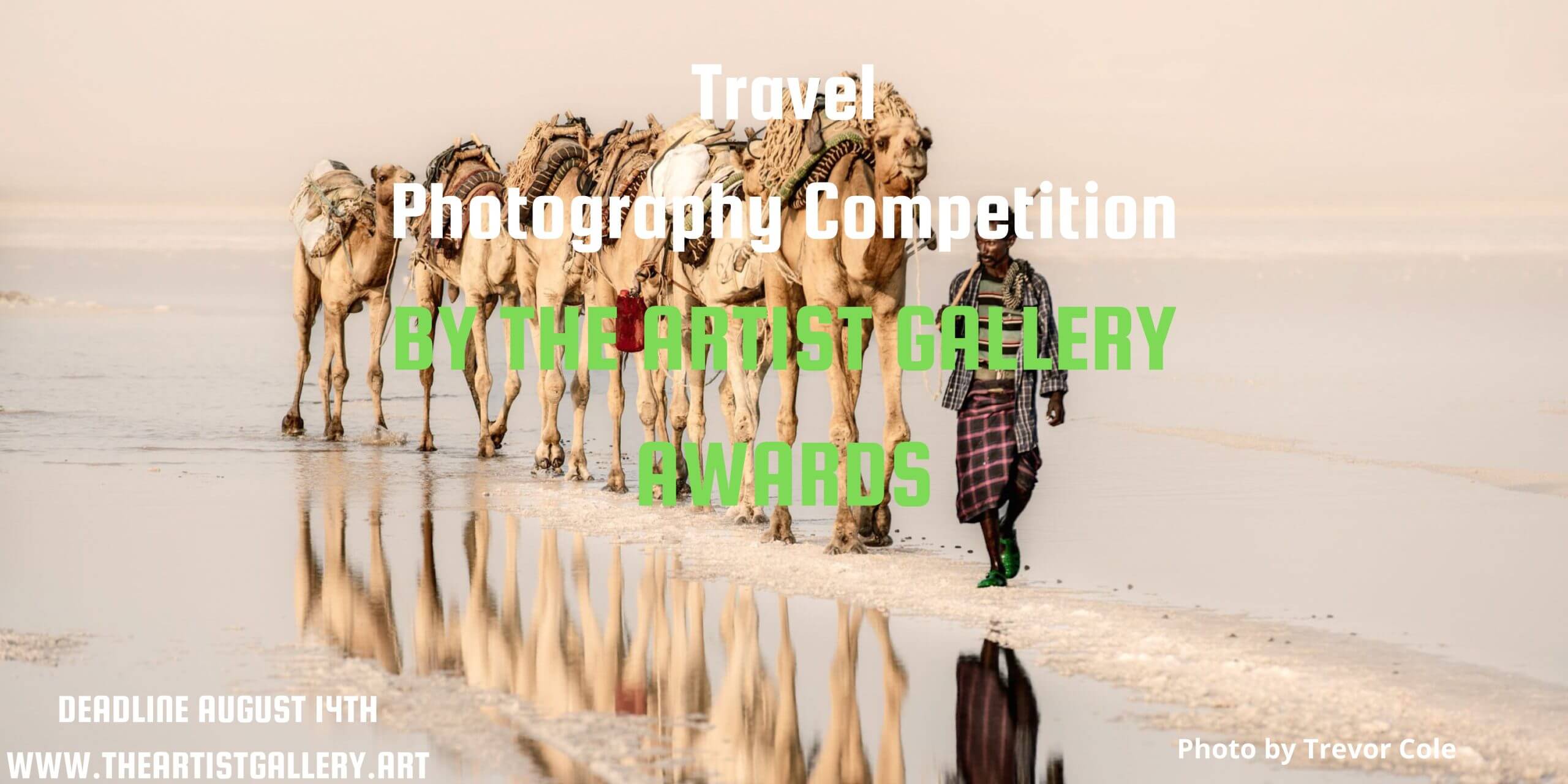 Travel Photography 2026 by The Artist Gallery Awards - logo