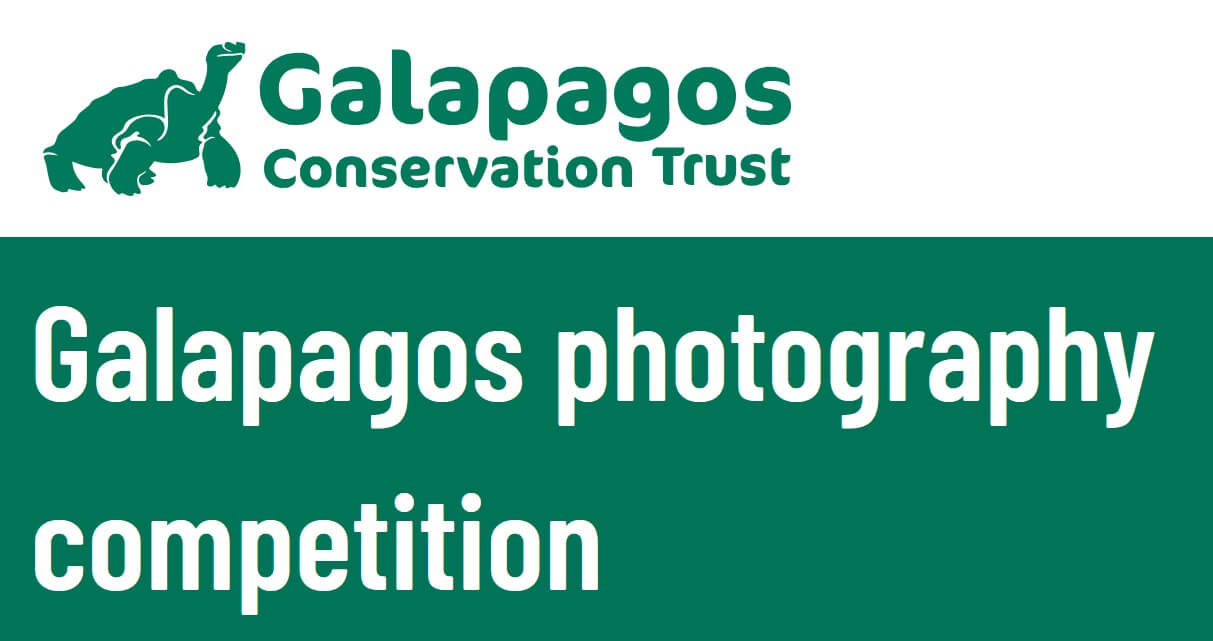 Galapagos Photography Competition 2026 - logo