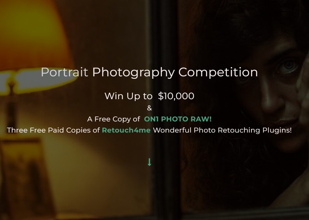 Portrait is the theme for this months competition. - logo