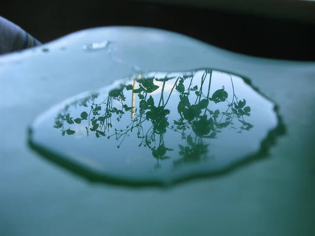 Water & Sky - logo