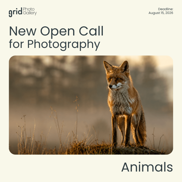 Animals Open Call 2026 Grid Photo Gallery
