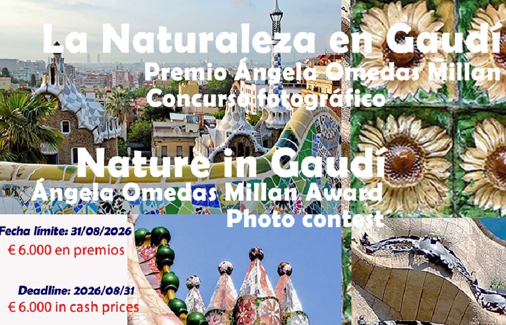 Nature in Gaudí - logo