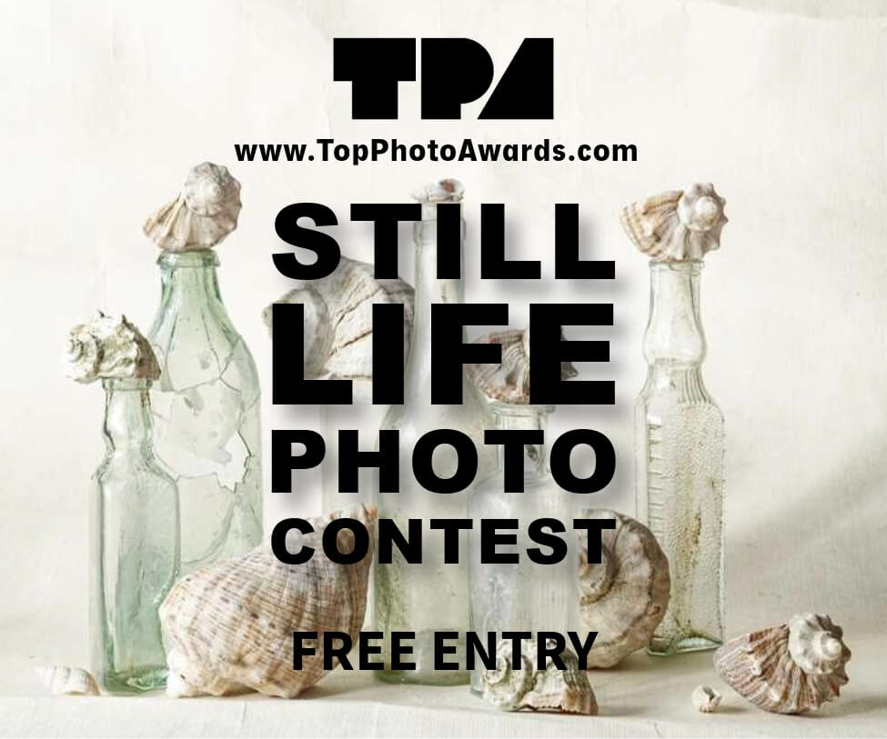 Still Life Photo Contest 2026 - logo