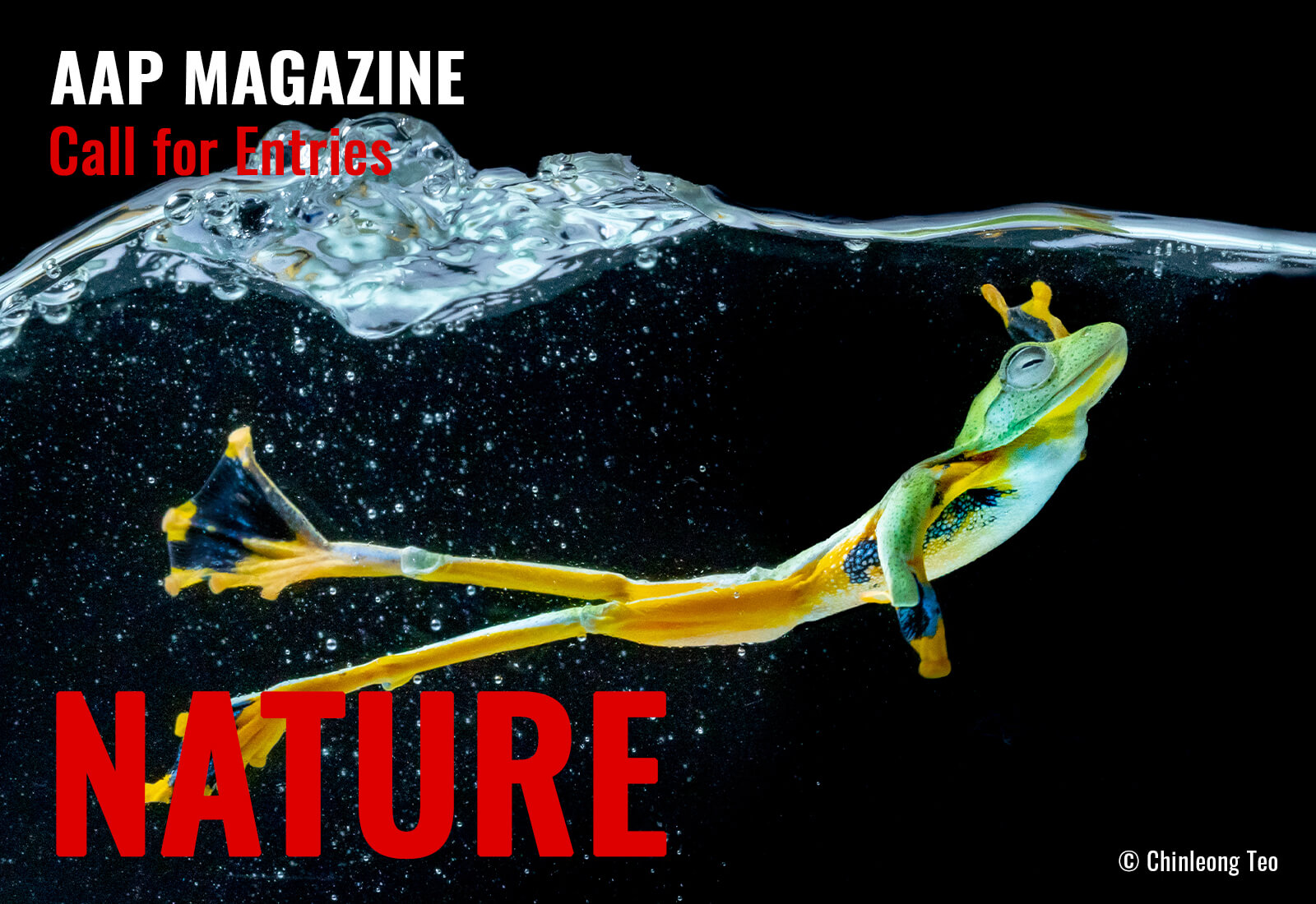 AAP Magazine #60 Nature - logo