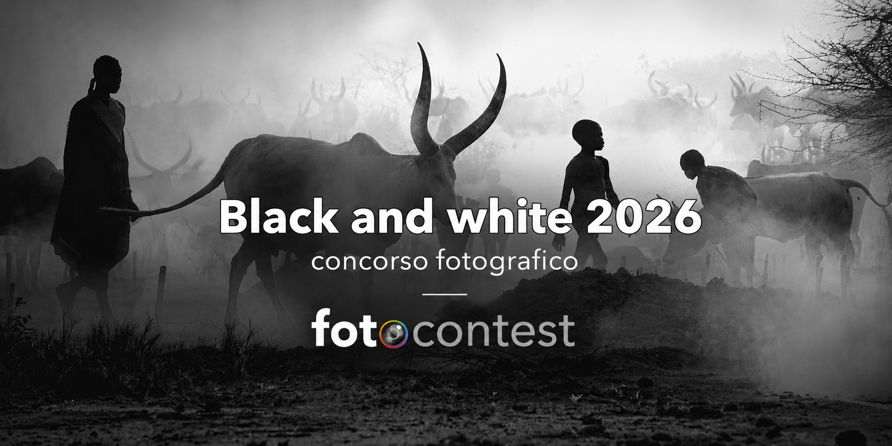 Black and White 2026 - logo