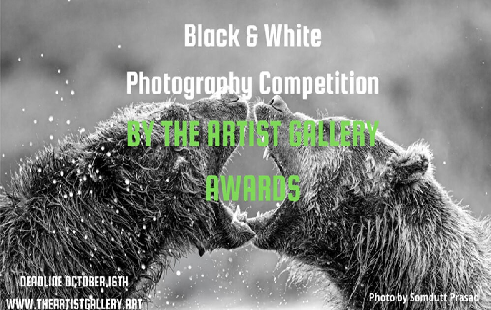 Black and White Photography 2026 by The Artist Gallery Awards - logo