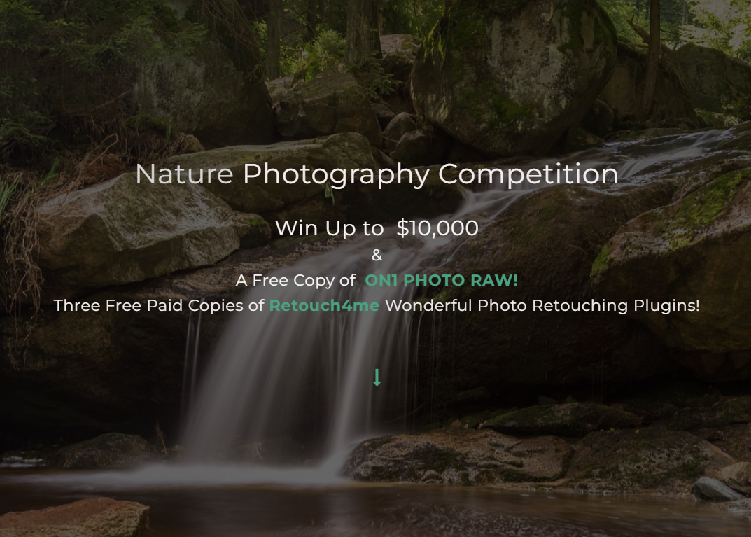 Nature is the theme for this months competition. - logo
