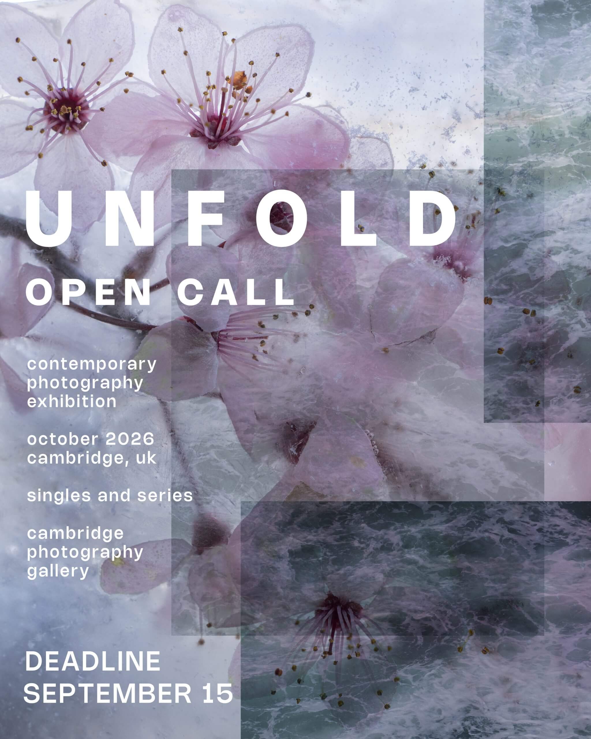 UNFOLD – group exhibition in Cambridge - logo