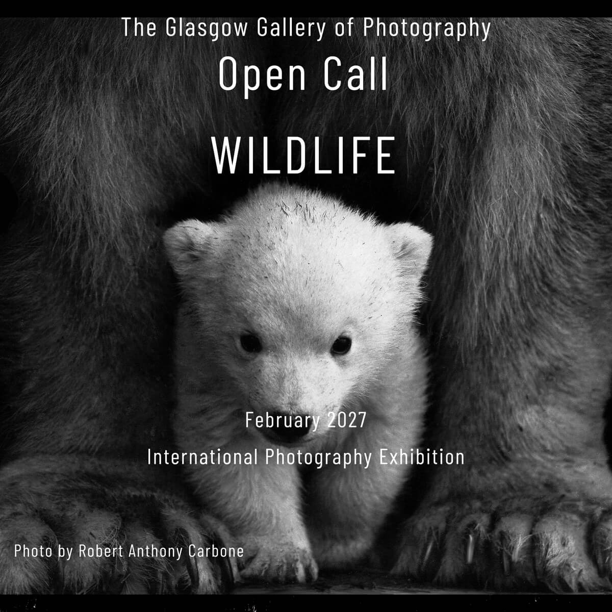 Wildlife 2027 International Photography Exhibition - logo